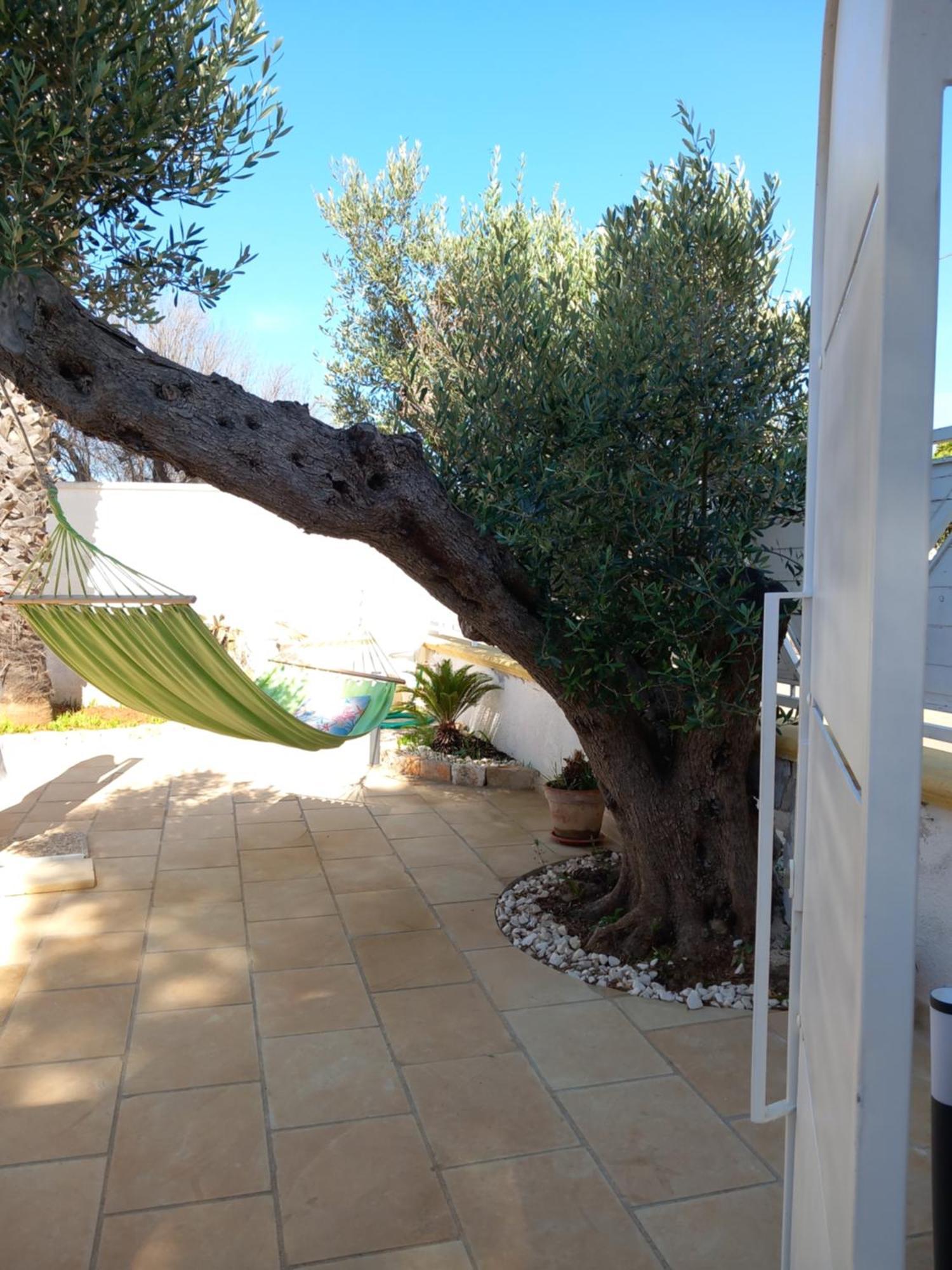 Alessandro House Porto Cesareo Exterior photo